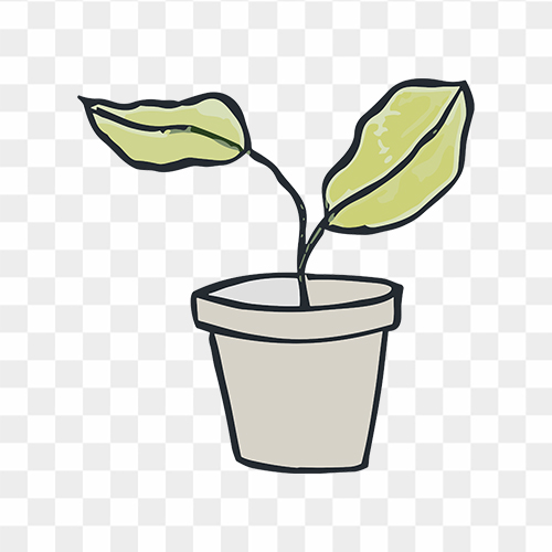 Plant in Pot Vector Clipart PNG